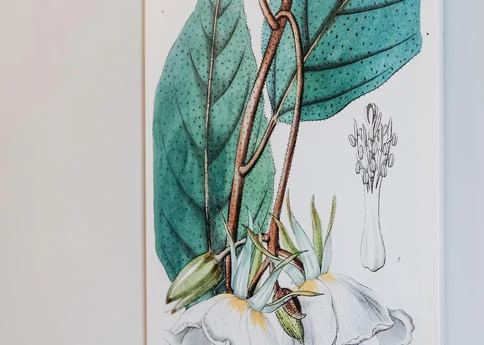 Lelewela No 16 Appartement