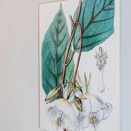 Papillon - Loftaffair Διαμέρισμα